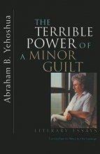 Cover art for Terrible Power of a Minor Guilt: Literary Essays