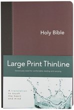 Cover art for CEB Common English Bible Large Print Thinline Flex