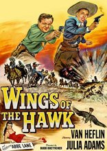 Cover art for Wings of the Hawk