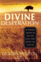 Cover art for Divine Desperation: 12 Powerful Insights to Help You Fulfill God's Destiny for Your Life