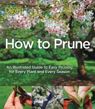 Cover art for How to Prune: An Illustrated Guide to Easy Pruning for Every Plant and Every Season