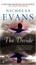 Cover art for The Divide