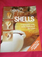 Cover art for Shells: A Fascinating Guide to the Treasures of the Beach