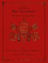 Cover art for The Douay-Rheims, Old Testament of the Holy Catholic Bible