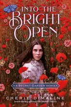 Cover art for Into the Bright Open: A Secret Garden Remix (Remixed Classics, 8)
