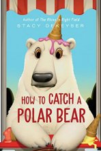 Cover art for How to Catch a Polar Bear (Washington Park Stories)