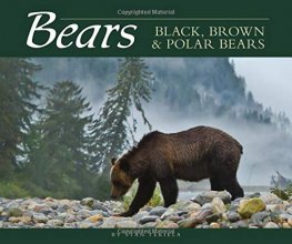 Cover art for Bears: Black, Brown & Polar Bears (Wildlife Appreciation)