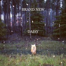 Cover art for Daisy (180 Gram LP/Gatefold) [Vinyl]