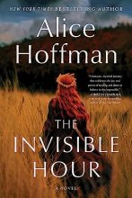 Cover art for The Invisible Hour: A Novel