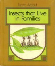 Cover art for Insects that live in families (Read about)