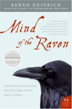 Cover art for Mind of the Raven: Investigations and Adventures with Wolf-Birds