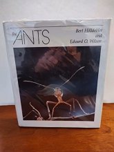 Cover art for The Ants
