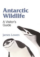Cover art for Antarctic Wildlife: A Visitor's Guide (Princeton University Press (Wildguides))