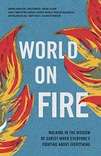 Cover art for World on Fire: Walking in the Wisdom of Christ When Everyone’s Fighting About Everything