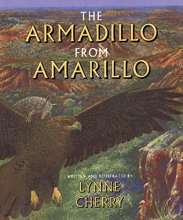Cover art for The Armadillo from Amarillo