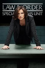 Cover art for Law & Order: Special Victims Unit - The 16th Year