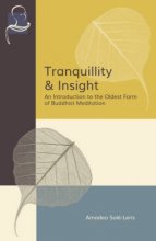 Cover art for Tranquillity & Insight: An Introduction to the Oldest Form of Buddhist Meditation