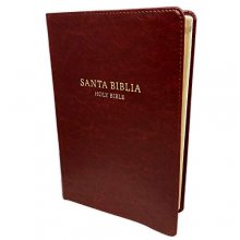 Cover art for Biblia Bilingüe, Reina-Valera 1960 RVR60 con King James Version KJV, imitación piel, chocolate