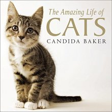 Cover art for The Amazing Life of Cats