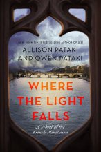 Cover art for Where the Light Falls: A Novel of the French Revolution