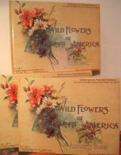 Cover art for The Wild Flowers of North America: the Address Book & Daily Journal Gift Set