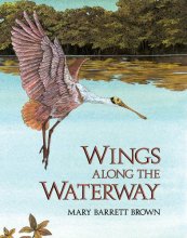 Cover art for Wings Along The Waterway