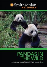 Cover art for Smithsonian Channel: Pandas in the Wild