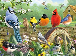 Cover art for Buffalo Games - Hautman Brothers - Railbird Reunion - 1000 Piece Jigsaw Puzzle (11192)