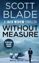 Cover art for Without Measure (Jack Widow)