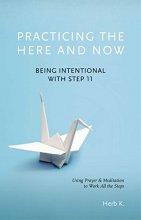 Cover art for Practicing the Here and Now: Being Intentional with Step 11, Using Prayer & Meditation to Work All the Steps