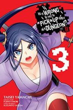 Cover art for Is It Wrong to Try to Pick Up Girls in a Dungeon? II, Vol. 3 (manga) (Is It Wrong to Try to Pick Up Girls in a Dungeon? Familia Chronicle Episode Freya)