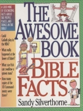 Cover art for The Awesome Book of Bible Facts