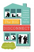 Cover art for The Big Disconnect: Protecting Childhood and Family Relationships in the Digital Age