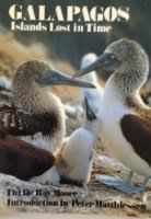 Cover art for Galapagos: Island