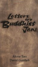 Cover art for Letters to a Buddhist Jew