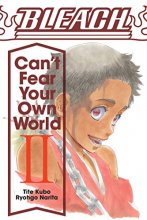 Cover art for Bleach: Can't Fear Your Own World, Vol. 2 (2)