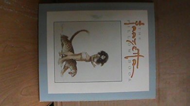 Cover art for Frazetta Pillow Book