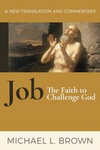 Cover art for Job: The Faith to Challenge God: A New Translation and Commentary