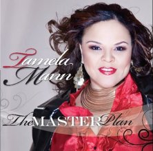 Cover art for The Master Plan