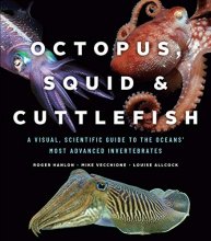 Cover art for Octopus, Squid, and Cuttlefish: A Visual, Scientific Guide to the Oceans’ Most Advanced Invertebrates