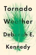 Cover art for Tornado Weather: A Novel