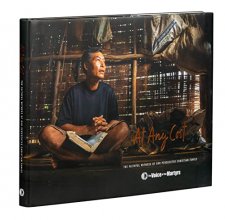 Cover art for At Any Cost: The Faithful Witness of Our Persecuted Christian Family