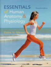 Cover art for Essentials of Human Anatomy & Physiology