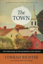 Cover art for The Town (31) (Rediscovered Classics)