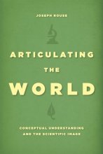 Cover art for Articulating the World: Conceptual Understanding and the Scientific Image