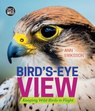 Cover art for Bird's-Eye View: Keeping Wild Birds in Flight (Orca Wild, 4)