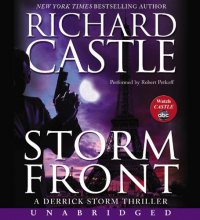 Cover art for Storm Front (Derrick Storm)