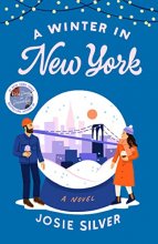 Cover art for A Winter in New York: A Novel
