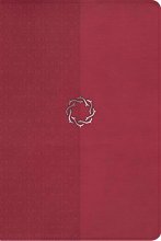 Cover art for The HCSB Essential Teen Study Bible, Rose LeatherTouch