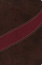 Cover art for The NASB, MacArthur Study Bible, Leathersoft, Brown/Red: Holy Bible, New American Standard Bible